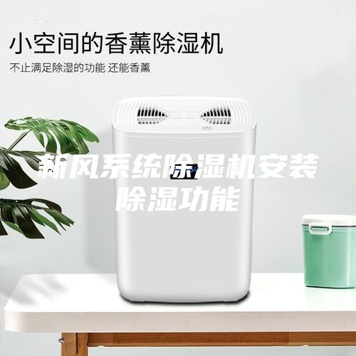 新風(fēng)系統(tǒng)除濕機安裝除濕功能