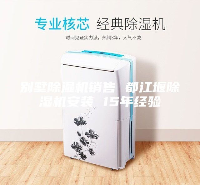 別墅除濕機(jī)銷(xiāo)售 都江堰除濕機(jī)安裝 15年經(jīng)驗(yàn)
