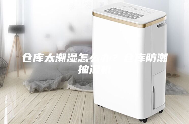 倉庫太潮濕怎么辦？倉庫防潮抽濕機(jī)