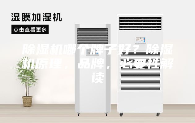 除濕機(jī)哪個牌子好？除濕機(jī)原理，品牌，必要性解讀