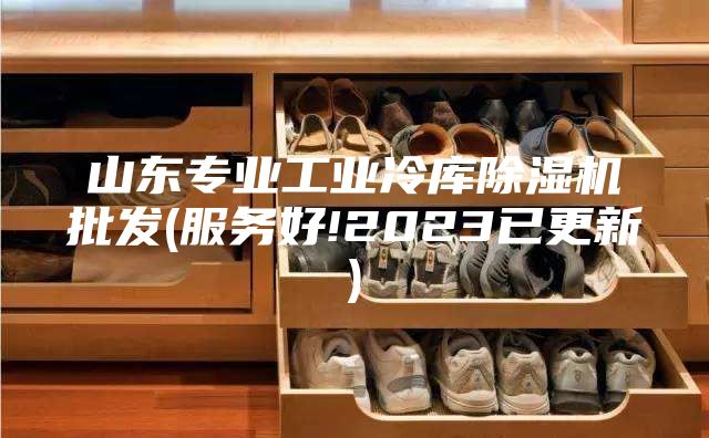 山東專業(yè)工業(yè)冷庫(kù)除濕機(jī)批發(fā)(服務(wù)好!2023已更新)