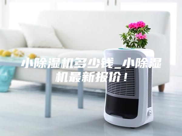 小除濕機多少錢_小除濕機最新報價！