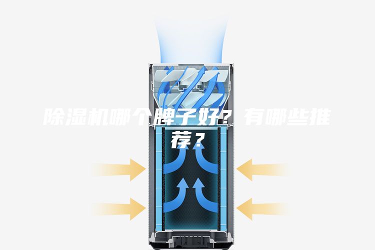 除濕機(jī)哪個牌子好？有哪些推薦？