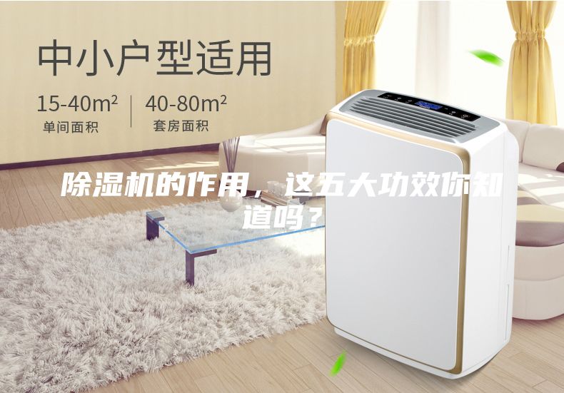 除濕機的作用，這五大功效你知道嗎？