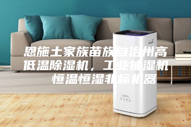 恩施土家族苗族自治州高低溫除濕機，工業抽濕機  恒溫恒濕非標機器