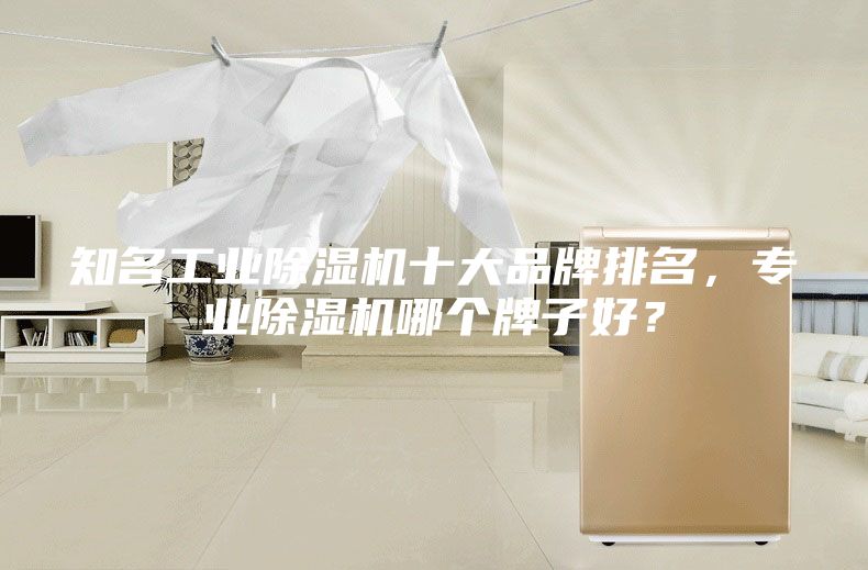 知名工業(yè)除濕機(jī)十大品牌排名，專(zhuān)業(yè)除濕機(jī)哪個(gè)牌子好？