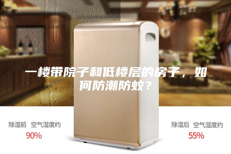 一樓帶院子和低樓層的房子，如何防潮防蚊？