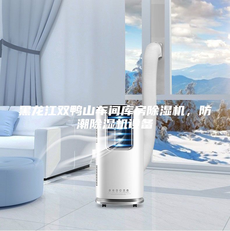 黑龍江雙鴨山車間庫房除濕機，防潮除濕機設備