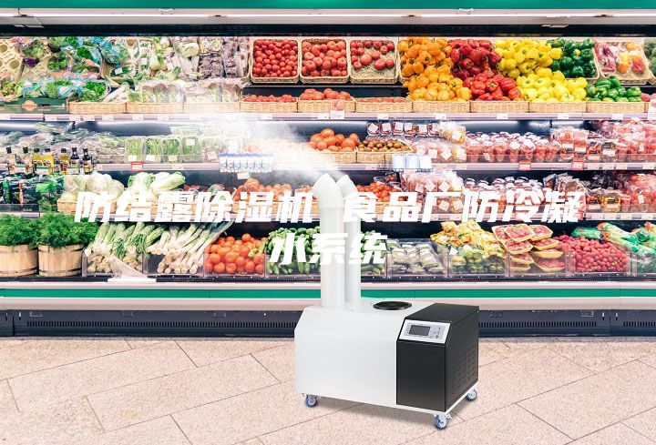 防結(jié)露除濕機 食品廠防冷凝水系統(tǒng)