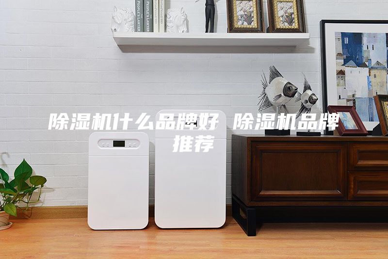 除濕機(jī)什么品牌好 除濕機(jī)品牌推薦
