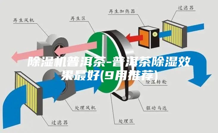 除濕機(jī)普洱茶-普洱茶除濕效果最好(9月推薦)