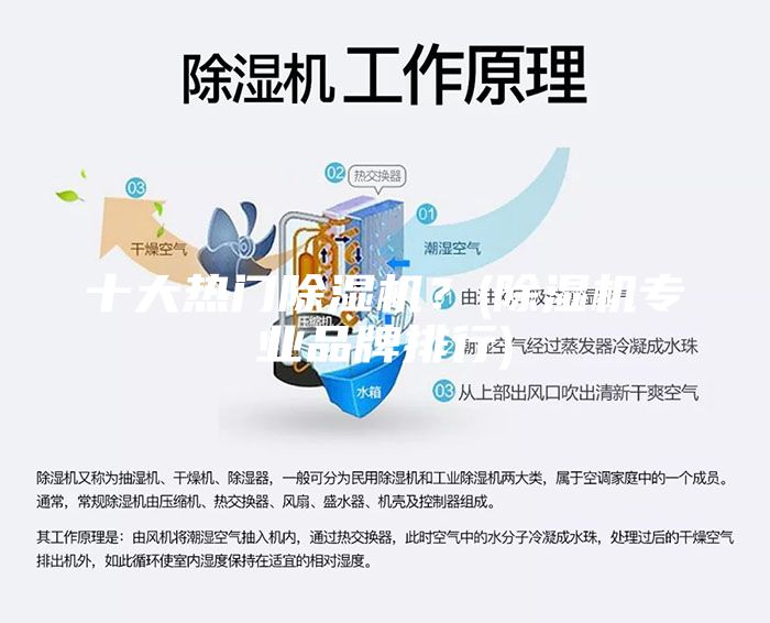 十大熱門除濕機？(除濕機專業品牌排行)