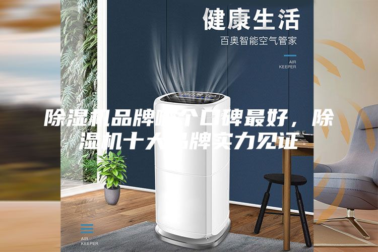 除濕機品牌哪個口碑最好，除濕機十大品牌實力見證