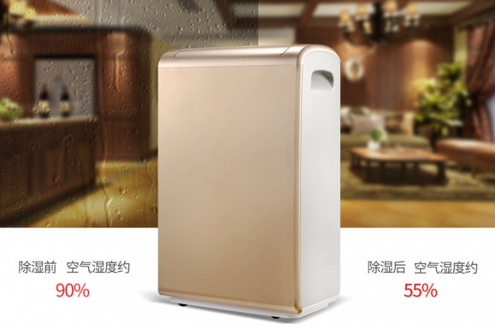 商業(yè)除濕機(jī)系列60L/D