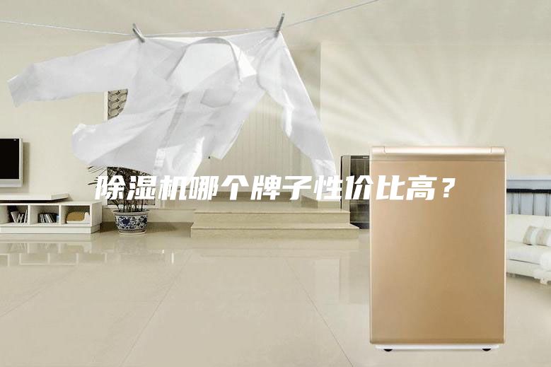 除濕機哪個牌子性價比高？