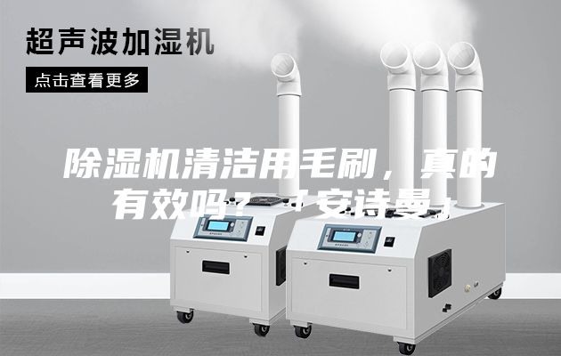 除濕機清潔用毛刷，真的有效嗎？「安詩曼」