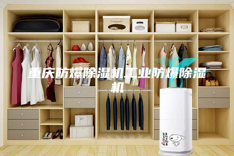 重慶防爆除濕機工業防爆除濕機