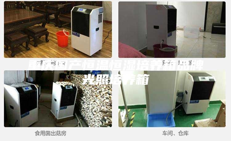 重慶國(guó)產(chǎn)恒溫恒濕培養(yǎng)箱品牌光照培養(yǎng)箱