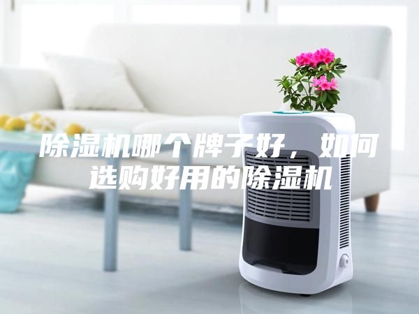 除濕機(jī)哪個牌子好，如何選購好用的除濕機(jī)