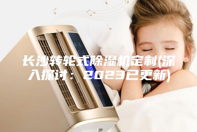 長沙轉輪式除濕機定制(深入探討：2023已更新)