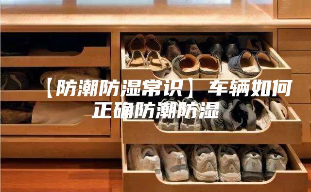 【防潮防濕常識(shí)】車輛如何正確防潮防濕