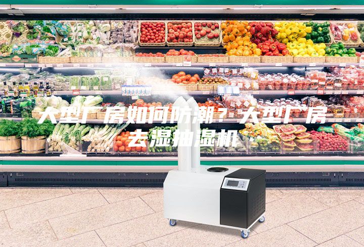 大型廠(chǎng)房如何防潮?大型廠(chǎng)房去濕抽濕機(jī)