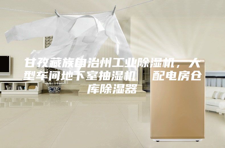 甘孜藏族自治州工業除濕機，大型車間地下室抽濕機  配電房倉庫除濕器