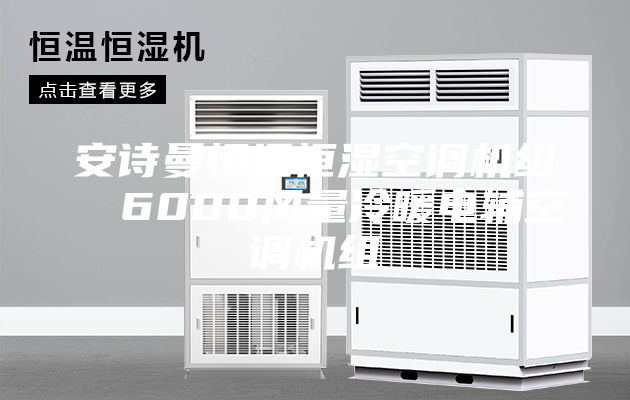 安詩曼恒溫恒濕空調機組  6000風量冷暖電輔空調機組
