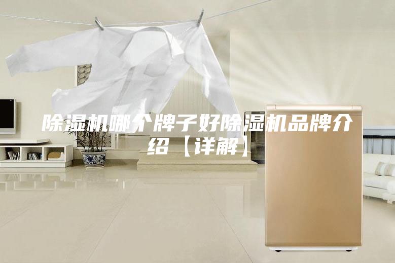 除濕機(jī)哪個牌子好除濕機(jī)品牌介紹【詳解】