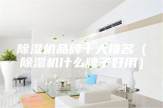 除濕機(jī)品牌十大排名（除濕機(jī)什么牌子好用）
